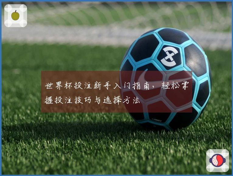 世界杯投注新手入门指南，轻松掌握投注技巧与选择方法