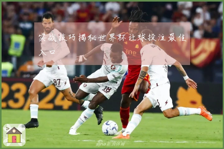 实战技巧揭秘世界杯让球投注最佳入口