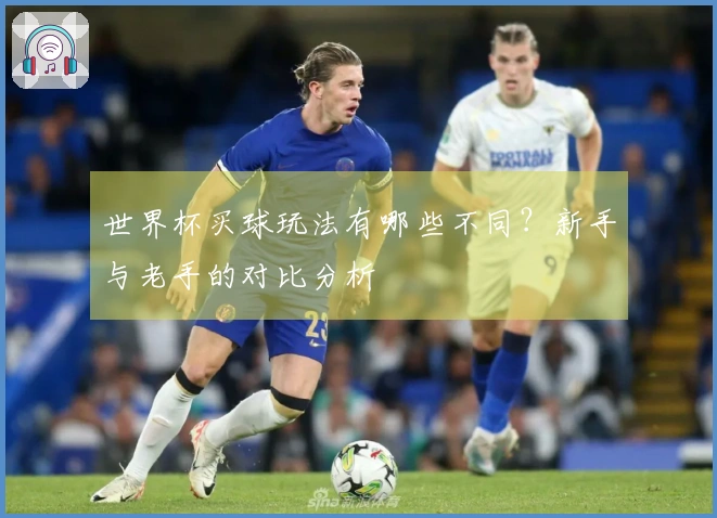 世界杯买球玩法有哪些不同？新手与老手的对比分析