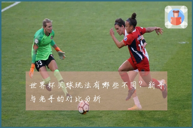 世界杯买球玩法有哪些不同？新手与老手的对比分析