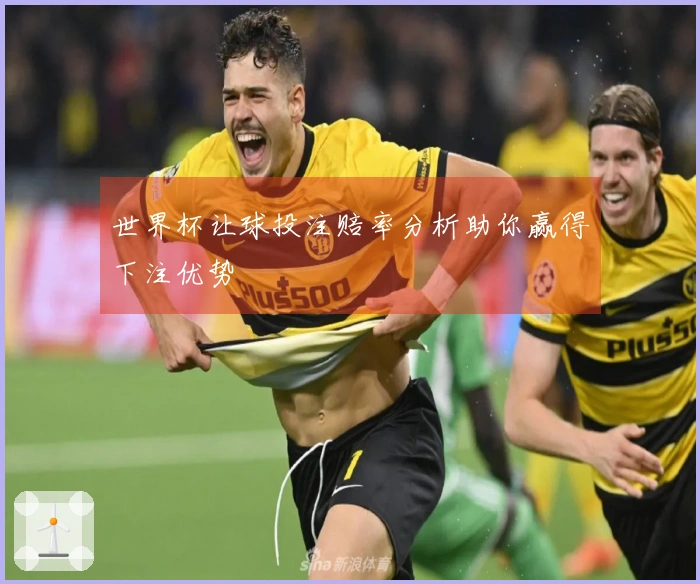 世界杯让球投注赔率分析助你赢得下注优势