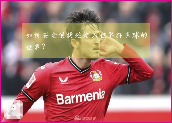 如何安全便捷地进入世界杯买球的世界？