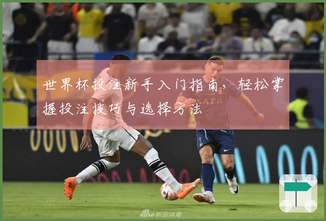 世界杯投注新手入门指南，轻松掌握投注技巧与选择方法